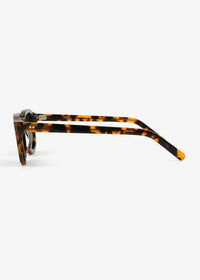 Shipo Tortoise - Polarized Sunglasses - Nuree World